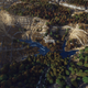 Image for article titled Here's Another Wonderful Map to Play Minecraft on